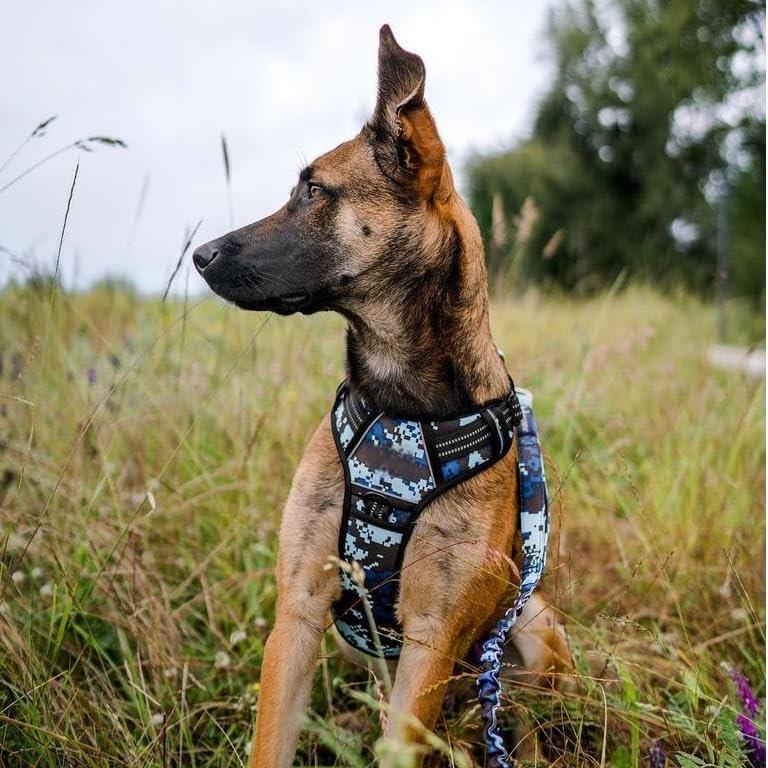  Tactical Dog Harness for Large, Heavy Duty Pet Harness with Handle, No-Pull Service Vest , Adjustable for Training Hunting Walking,Blue Camo