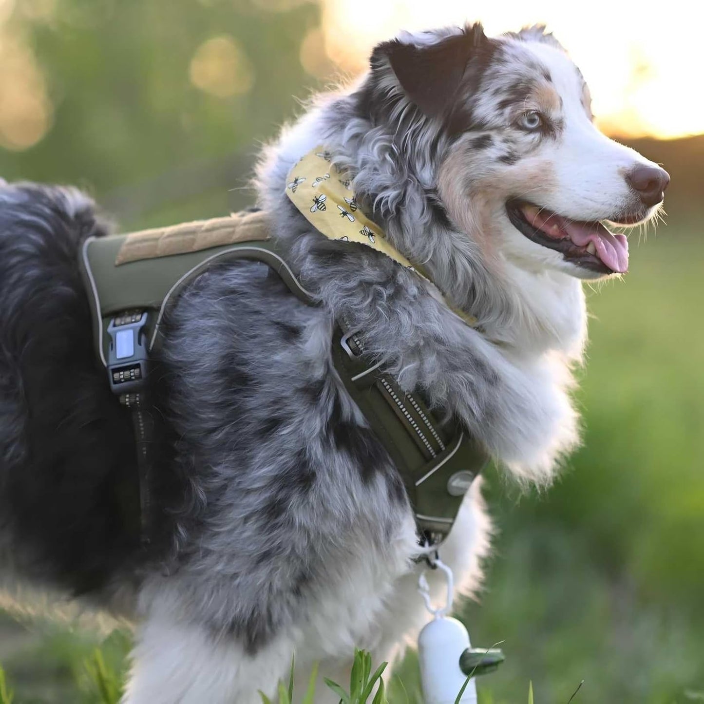 Tactical Dog Harness for Large, Heavy Duty Pet Harness with Handle, No-Pull Service Vest , Adjustable for Training Hunting Walking,Green