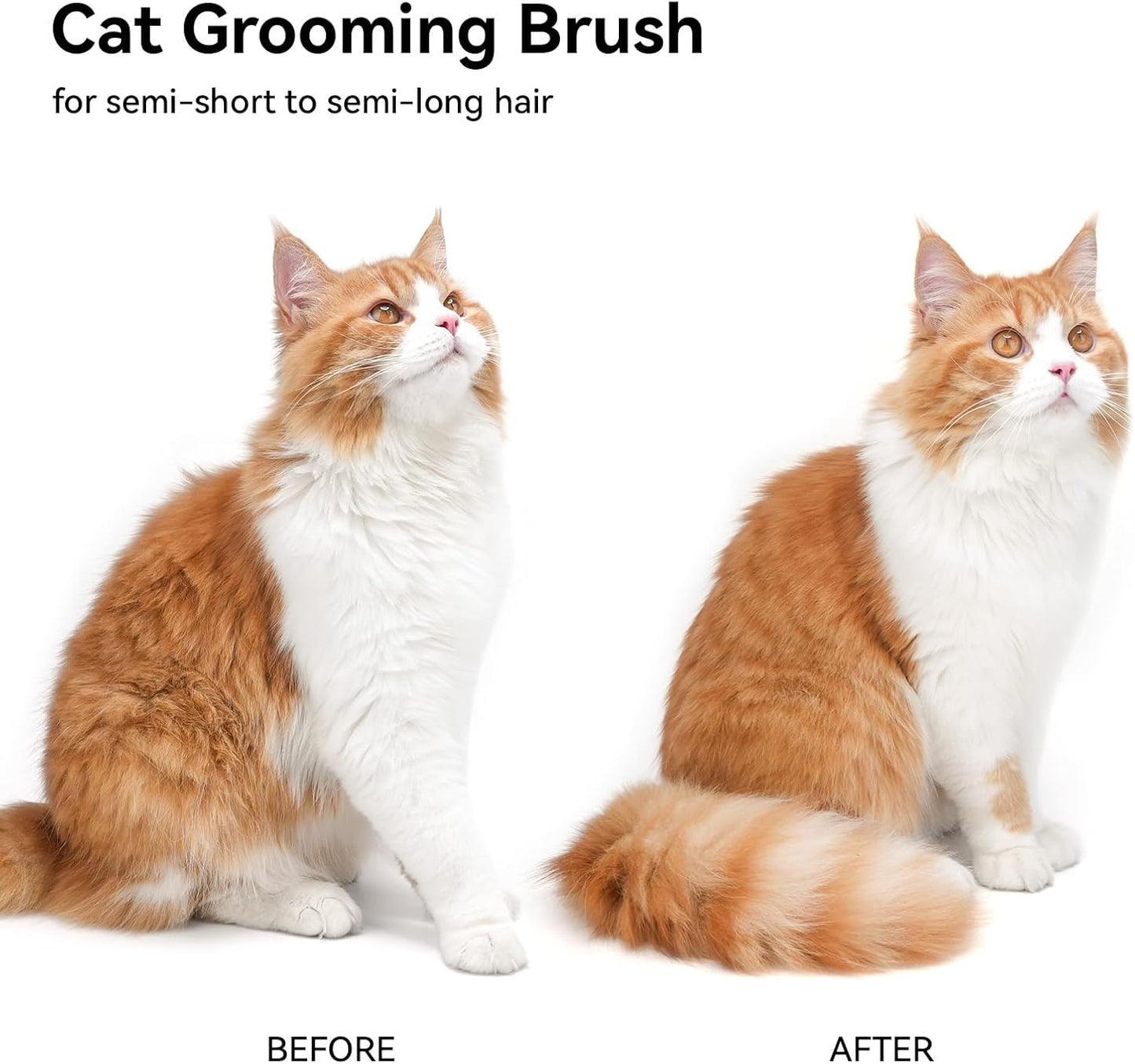 Cat Brush for Shedding, Indoor Cats, Long or Short Haired Cats, Cat Grooming Brush Cat Comb for Kitten Rabbit Massage Removes Loose Fur,White