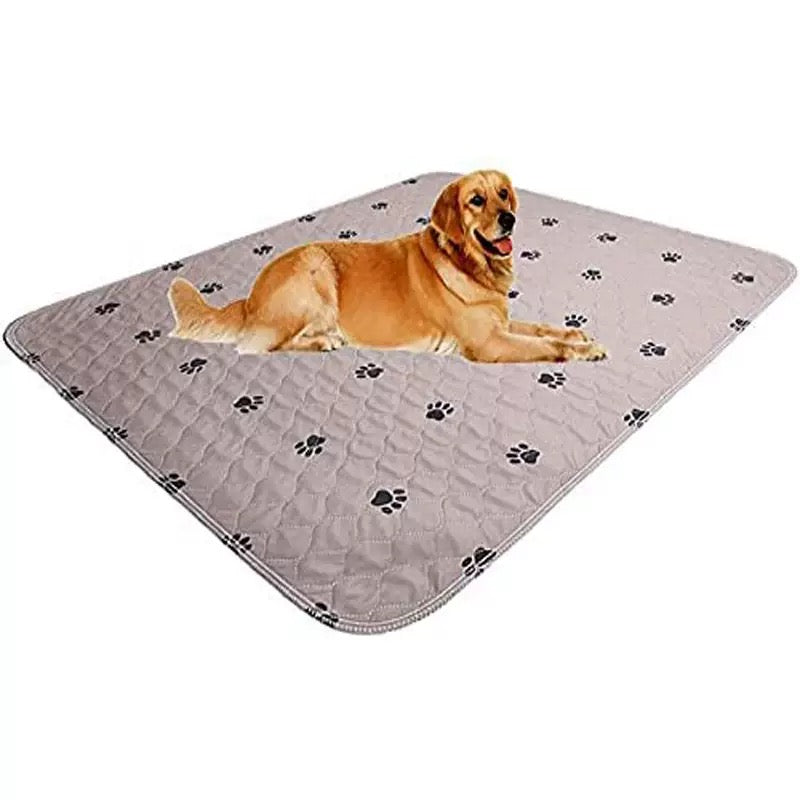Washable Pee Pads for Dogs, Cats, Puppy, 2 Pack Ultra-Absorbent and Leak-Proof Non-Slip Reusable Potty Training Pads for Cages,Colorful