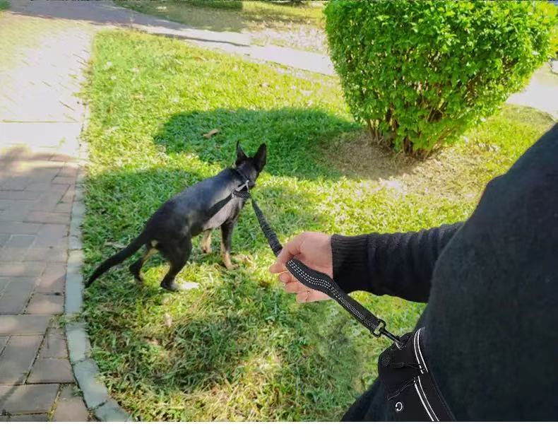 Scalable Sports Waist Bag Pet Traction Rope, Explosion-proof Punch, Anti slip, Waist Protection, for Small and Medium Dogs, Freeing hands,Black