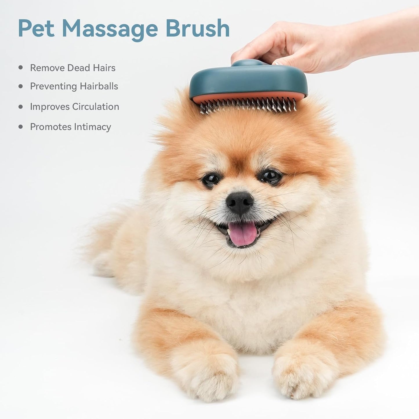 Cat Brush for Shedding, Indoor Cats, Long or Short Haired Cats, Cat Grooming Brush Cat Comb for Kitten Rabbit Massage Removes Loose Fur,Green
