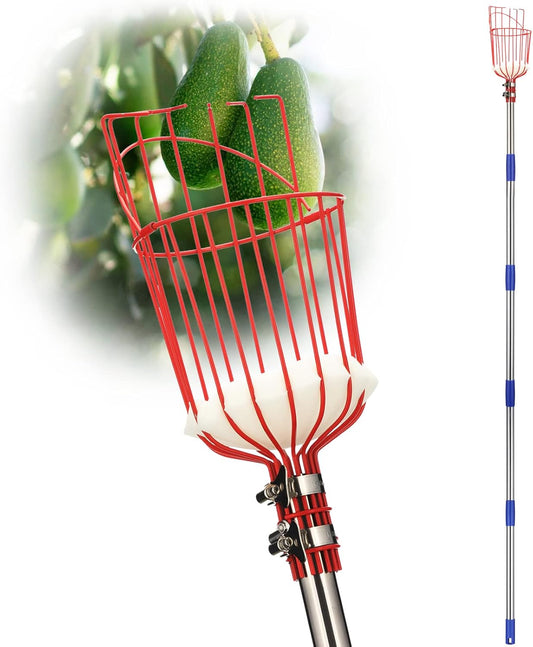 Fruit Picker Pole Tool with Basket Long Handle,Adjustable Apple Orange Picker Pole Tool with Basket for Avocado Acorn Lemon Pear Mango Tree Picker