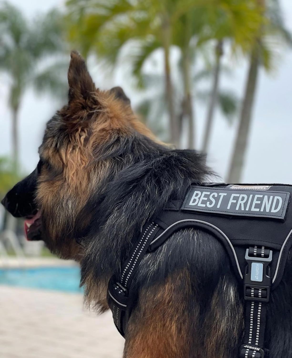   Tactical Dog Harness for Large, Heavy Duty Pet Harness with Handle, No-Pull Service Vest , Adjustable for Training Hunting Walking,Black