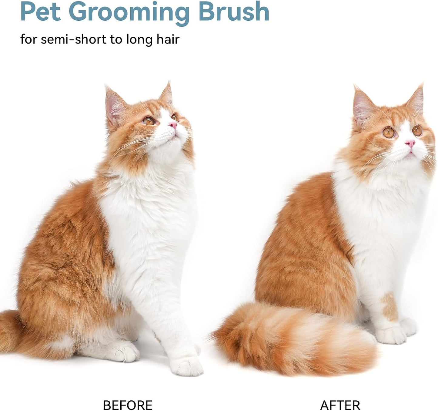 Cat Brush for Shedding, Indoor Cats, Long or Short Haired Cats, Cat Grooming Brush Cat Comb for Kitten Rabbit Massage Removes Loose Fur,Green