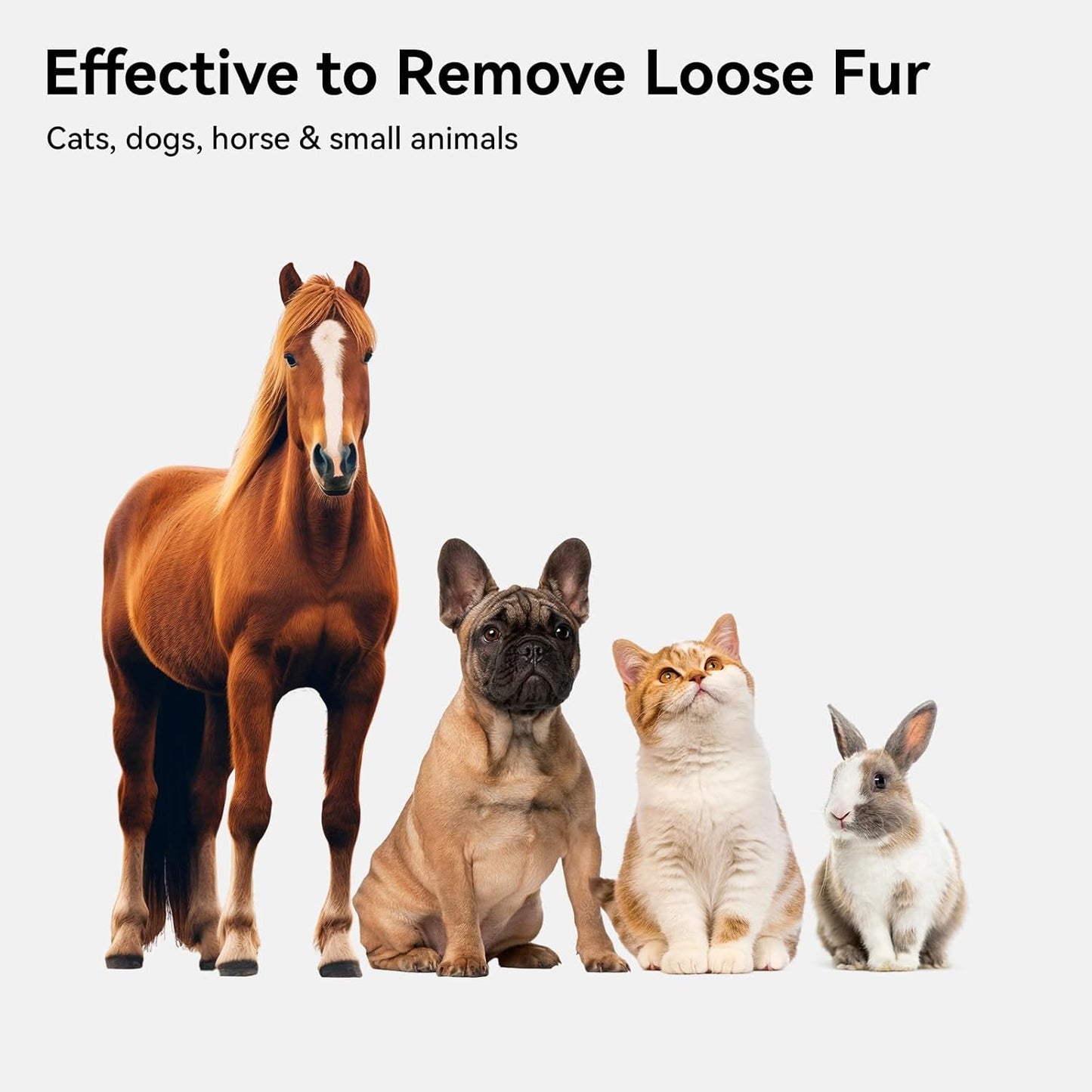 Cat Brush for Shedding, Indoor Cats, Long or Short Haired Cats, Cat Grooming Brush Cat Comb for Kitten Rabbit Massage Removes Loose Fur,Purple