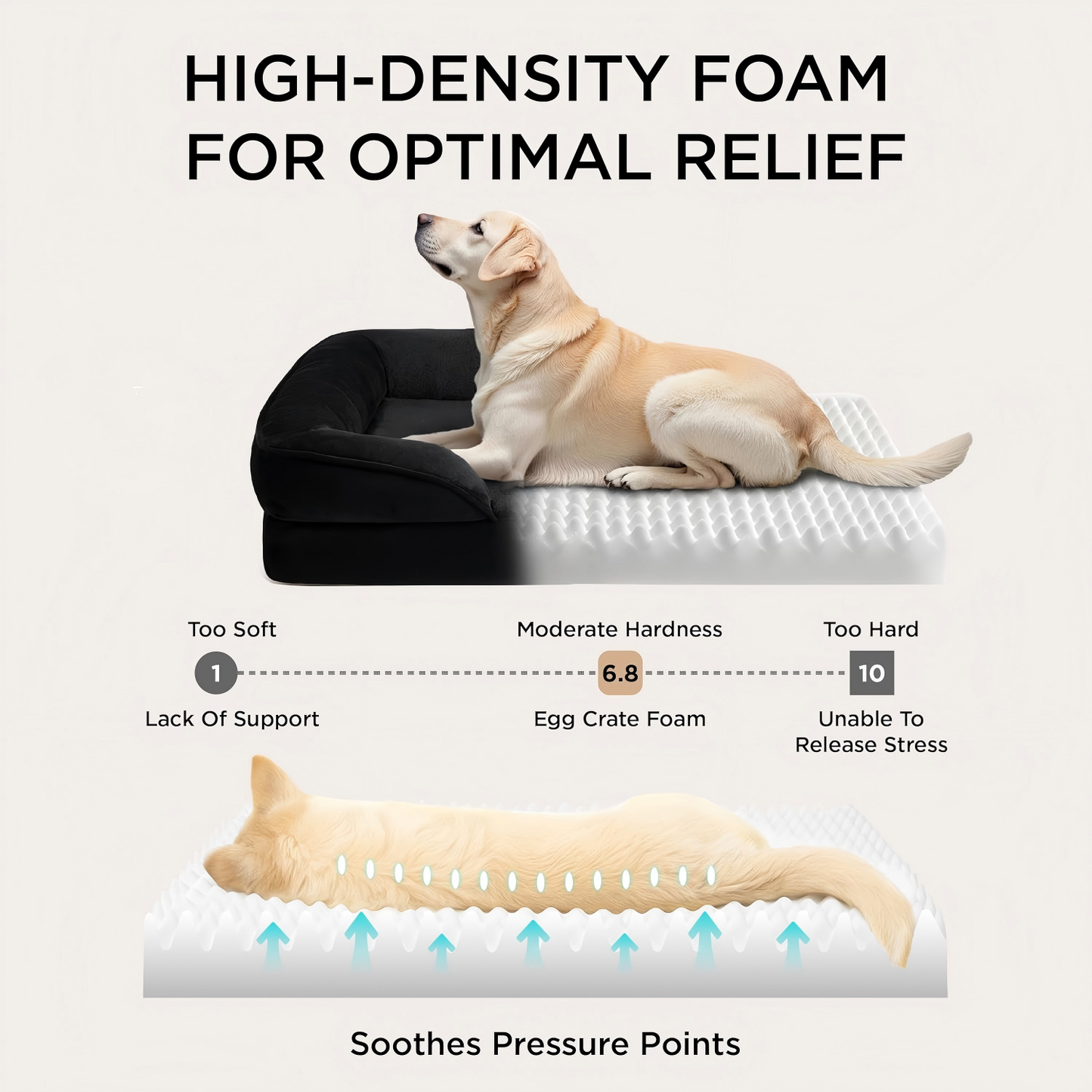 Dog Bed - Washable Small Medium Dog Cat Bed Waterproof, Comfort Cats Couch Sofa with Washable Removable Cover, Pets Bed with Nonskid Bottom, Black