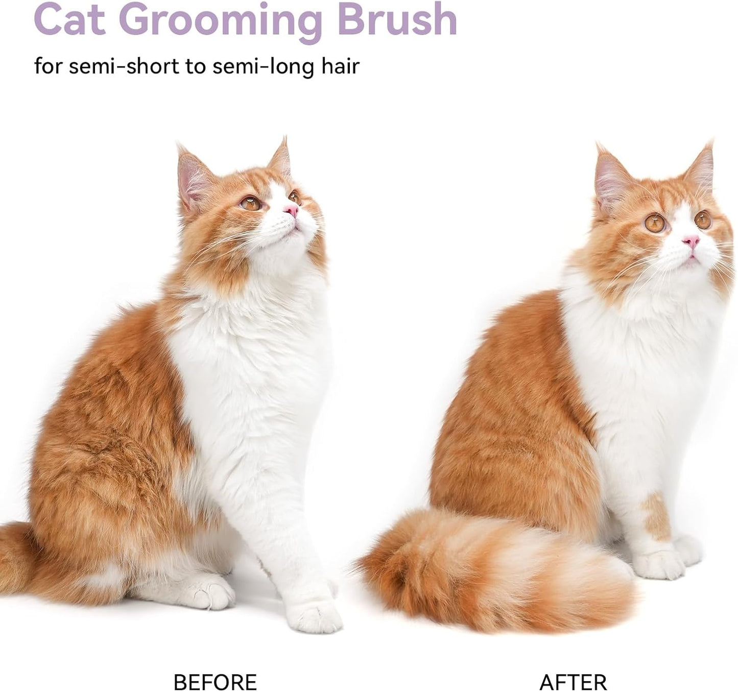 Cat Brush for Shedding, Indoor Cats, Long or Short Haired Cats, Cat Grooming Brush Cat Comb for Kitten Rabbit Massage Removes Loose Fur,Purple