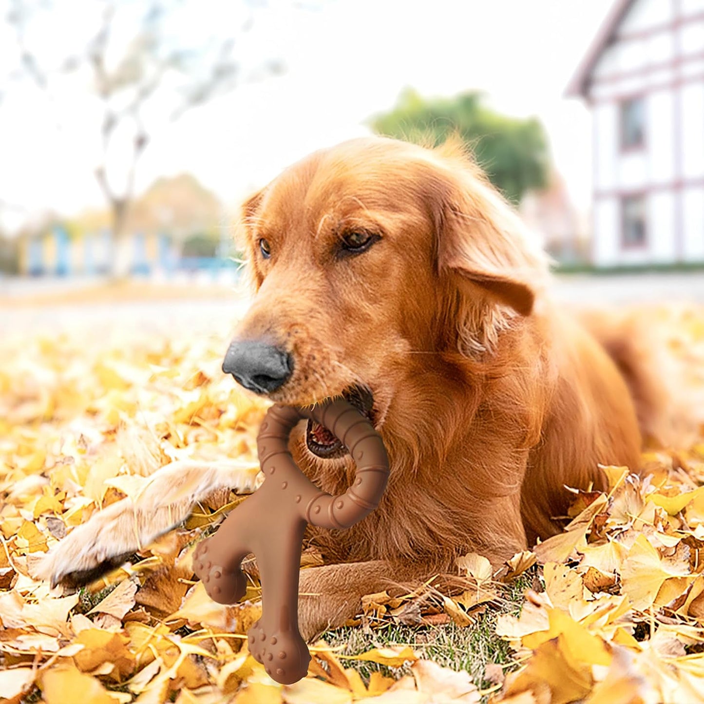 Dog Toys for Aggressive Chewers, Beef Flavor Indestructible Dog Chew Toys for Aggressive Chewers, Tough Dog Chew Toys for Large/Medium/Small Dogs