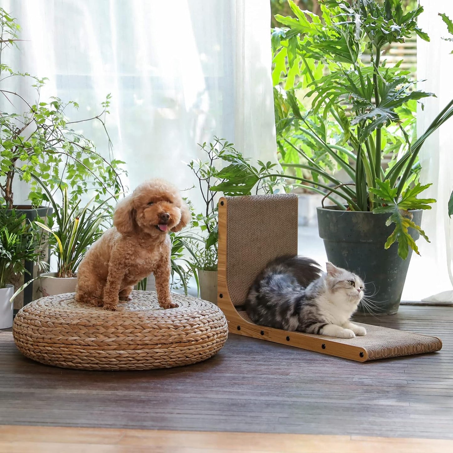 Cat Scratcher, L Shape Cat Scratch Pad Wall Mounted, Cat Scratching Cardboard with Ball Toy for Indoor Cats