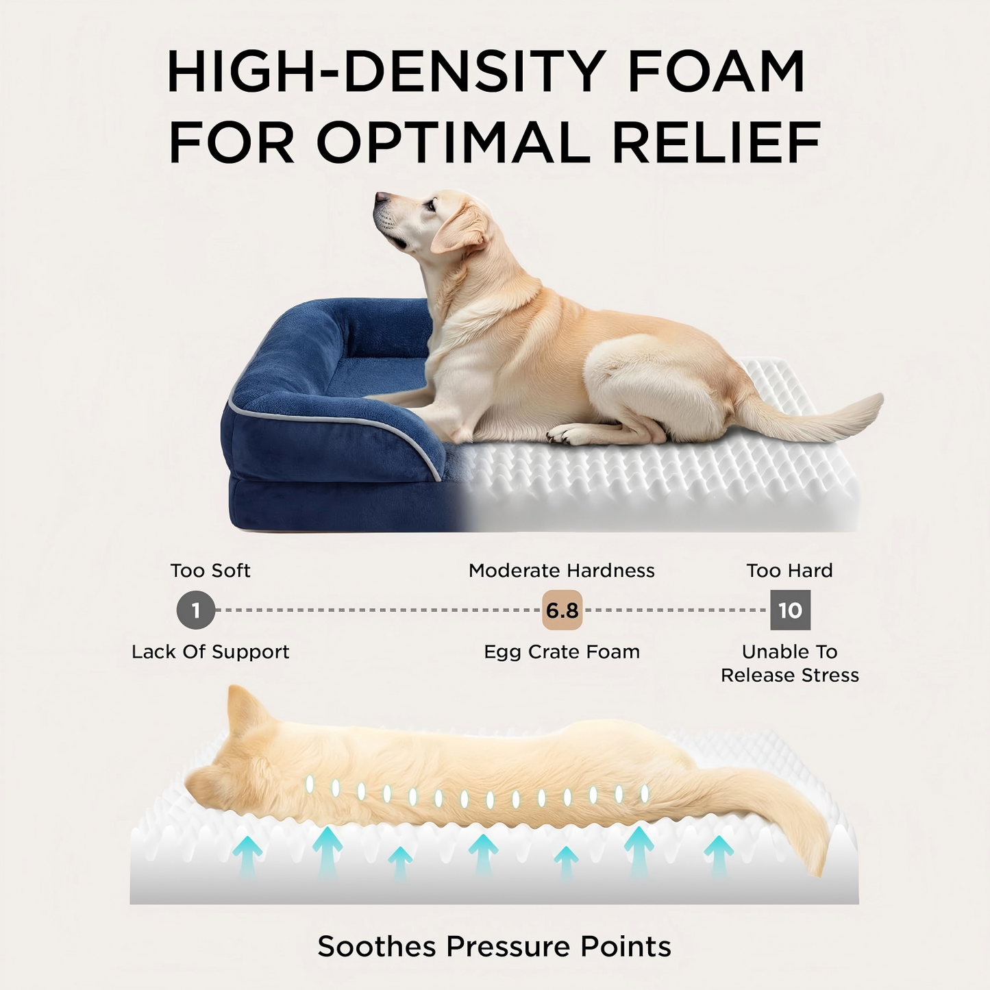 Dog Bed - Washable Small Medium Dog Cat Bed Waterproof, Comfort Cats Couch Sofa with Washable Removable Cover, Pets Bed with Nonskid Bottom, Navy