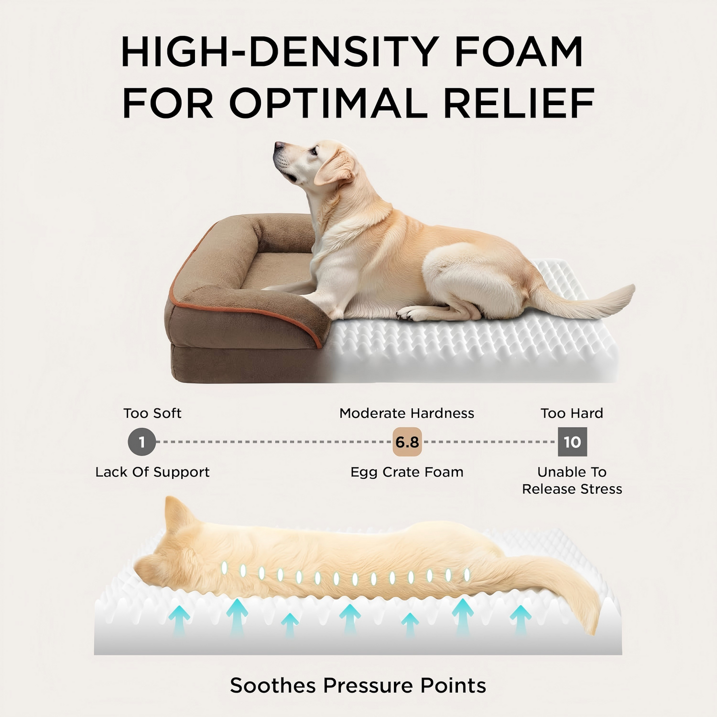 Dog Bed - Washable Small Medium Dog Cat Bed Waterproof, Comfort Cats Couch Sofa with Washable Removable Cover, Pets Bed with Nonskid Bottom, Brown
