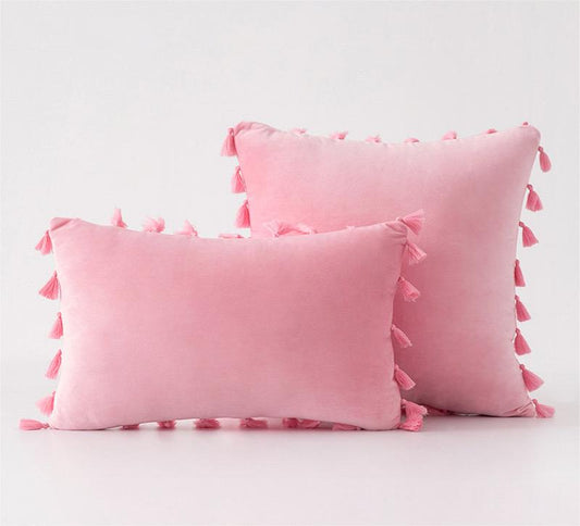 Pack of 2 Velvet Soft Solid Decorative Throw Pillows with Tassels Fringe Boho Accent Cushion for Couch Sofa Bed, Baby Pink