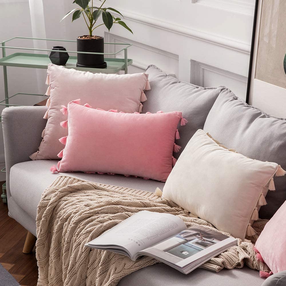 Pack of 2 Velvet Soft Solid Decorative Throw Pillows with Tassels Fringe Boho Accent Cushion for Couch Sofa Bed, Baby Pink