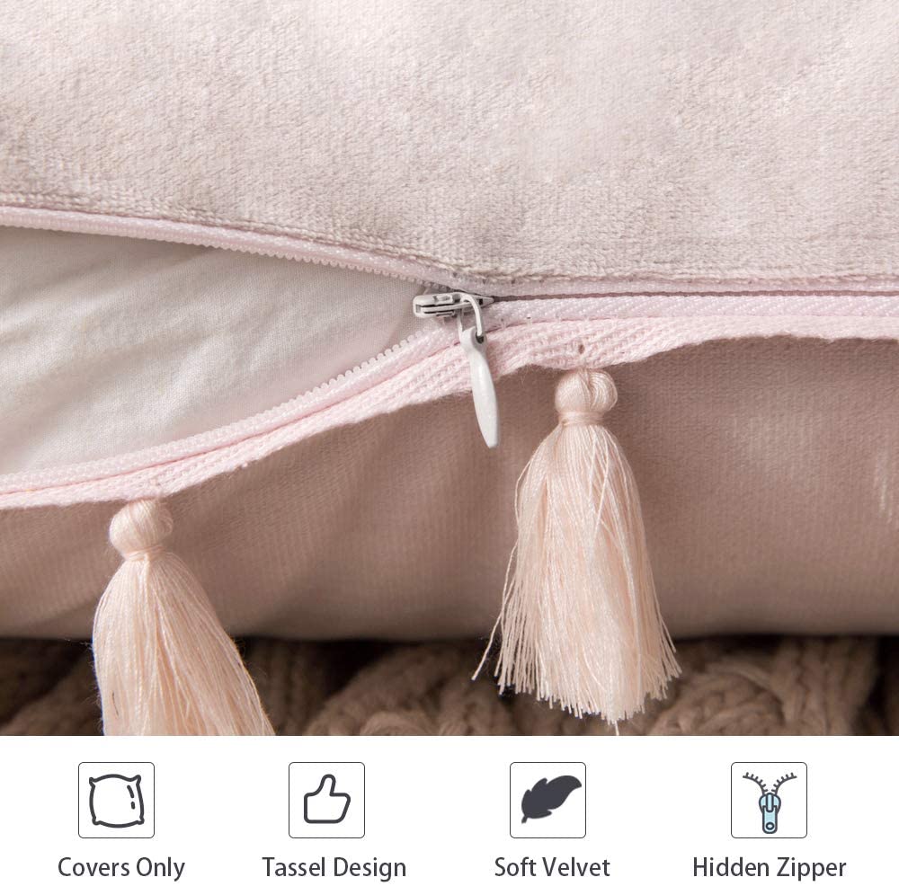 Pack of 2 Velvet Soft Solid Decorative Throw Pillows with Tassels Fringe Boho Accent Cushion for Couch Sofa Bed, Pink