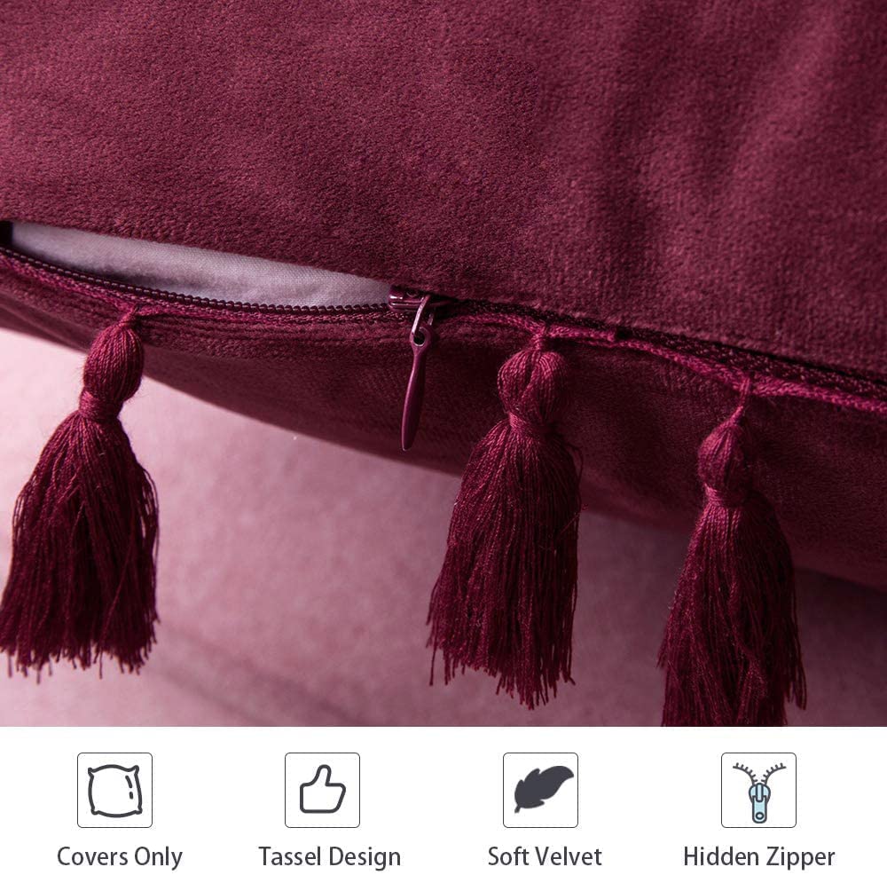 Pack of 2 Velvet Soft Solid Decorative Throw Pillows with Tassels Fringe Boho Accent Cushion for Couch Sofa Bed, Burgundy