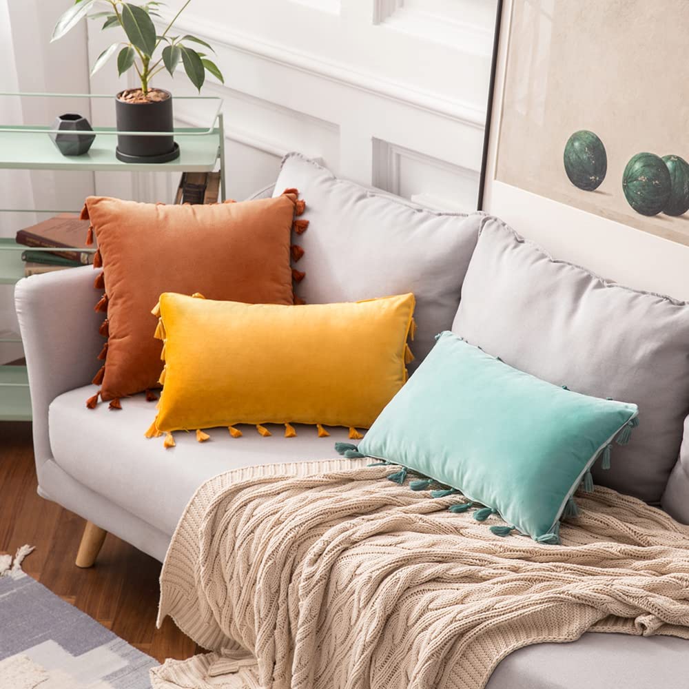 Pack of 2 Velvet Soft Solid Decorative Throw Pillows with Tassels Fringe Boho Accent Cushion for Couch Sofa Bed, Orange