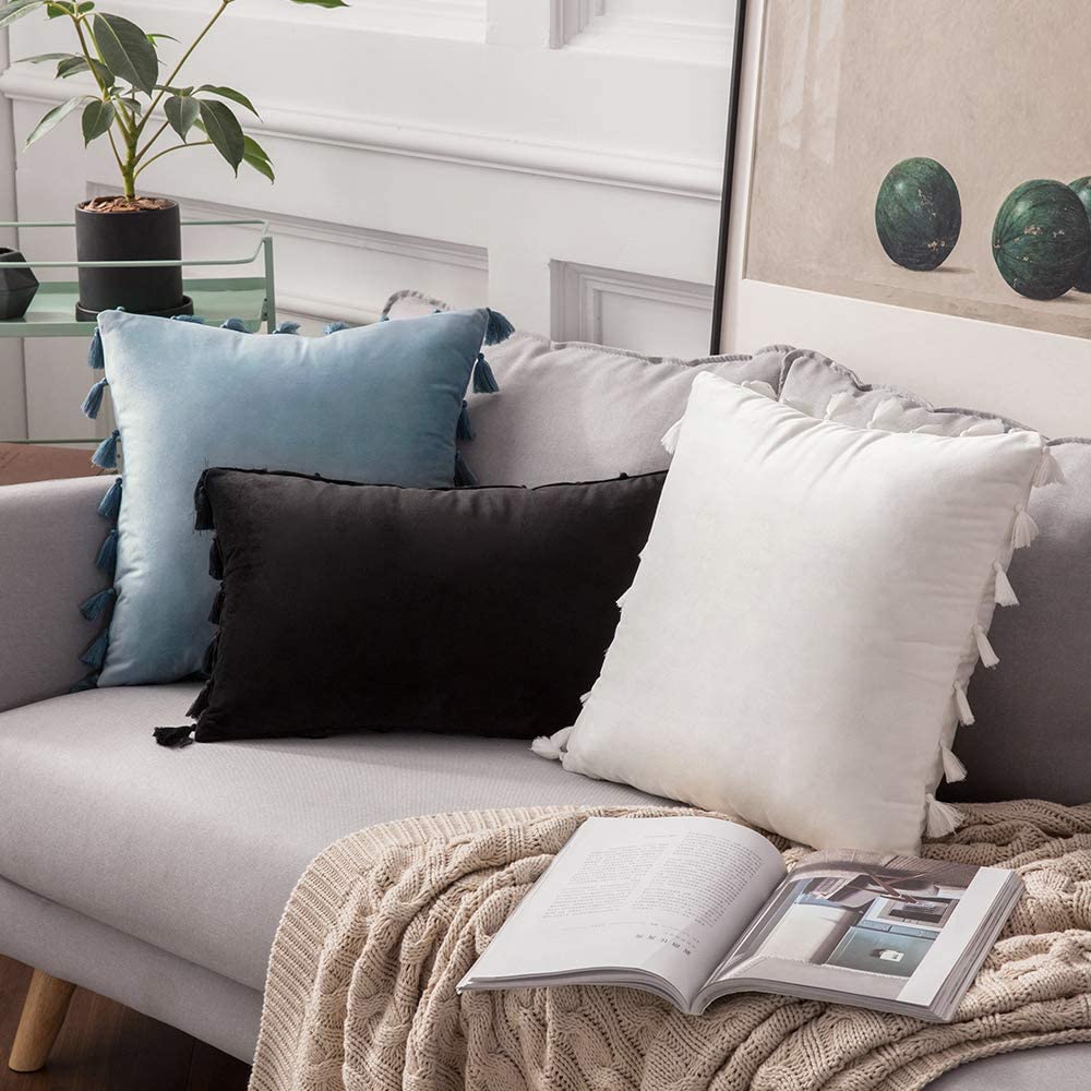 Pack of 2 Velvet Soft Solid Decorative Throw Pillows with Tassels Fringe Boho Accent Cushion for Couch Sofa Bed, Pure White