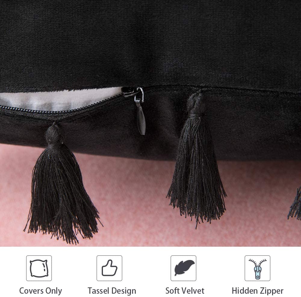 Pack of 2 Velvet Soft Solid Decorative Throw Pillows with Tassels Fringe Boho Accent Cushion for Couch Sofa Bed, Black