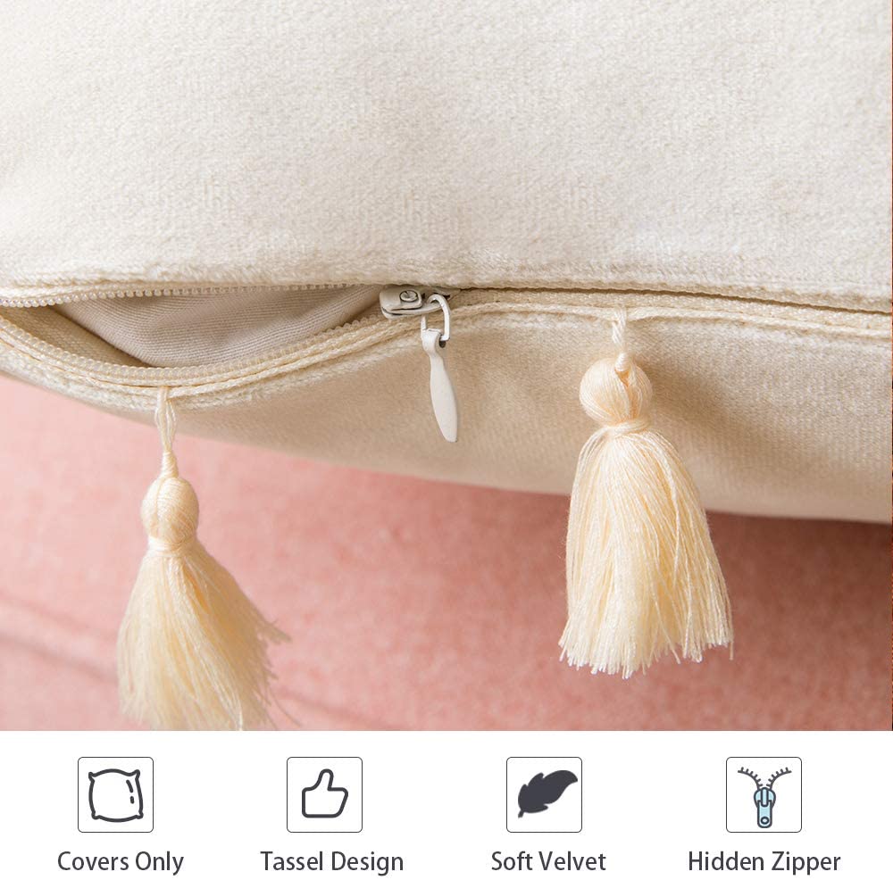 Pack of 2 Velvet Soft Solid Decorative Throw Pillows with Tassels Fringe Boho Accent Cushion for Couch Sofa Bed, Ivory