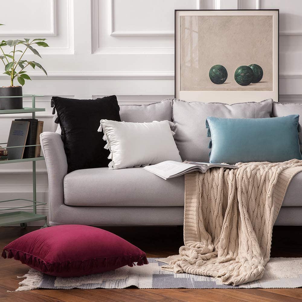Pack of 2 Velvet Soft Solid Decorative Throw Pillows with Tassels Fringe Boho Accent Cushion for Couch Sofa Bed, Burgundy