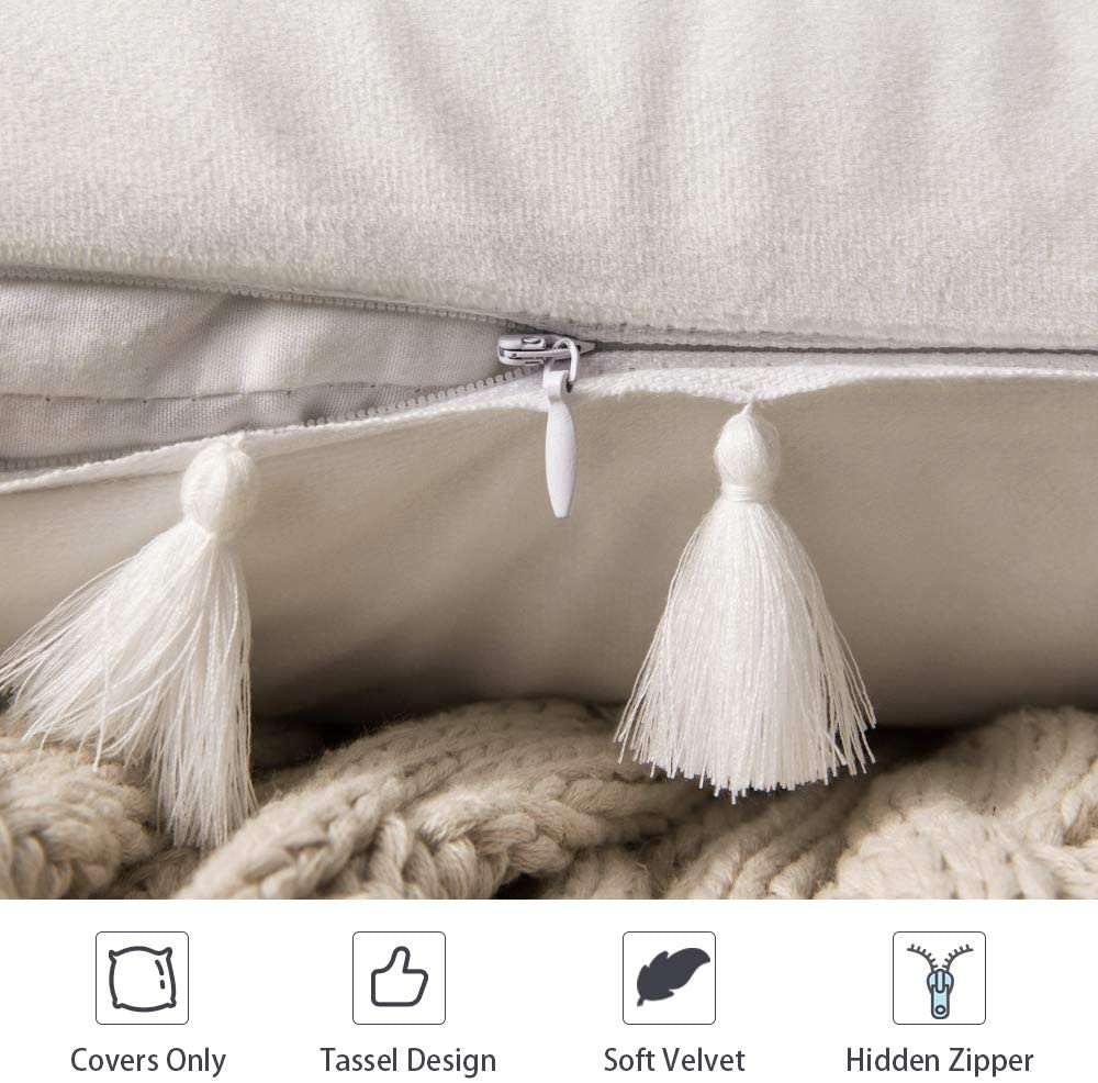 Pack of 2 Velvet Soft Solid Decorative Throw Pillows with Tassels Fringe Boho Accent Cushion for Couch Sofa Bed, Pure White