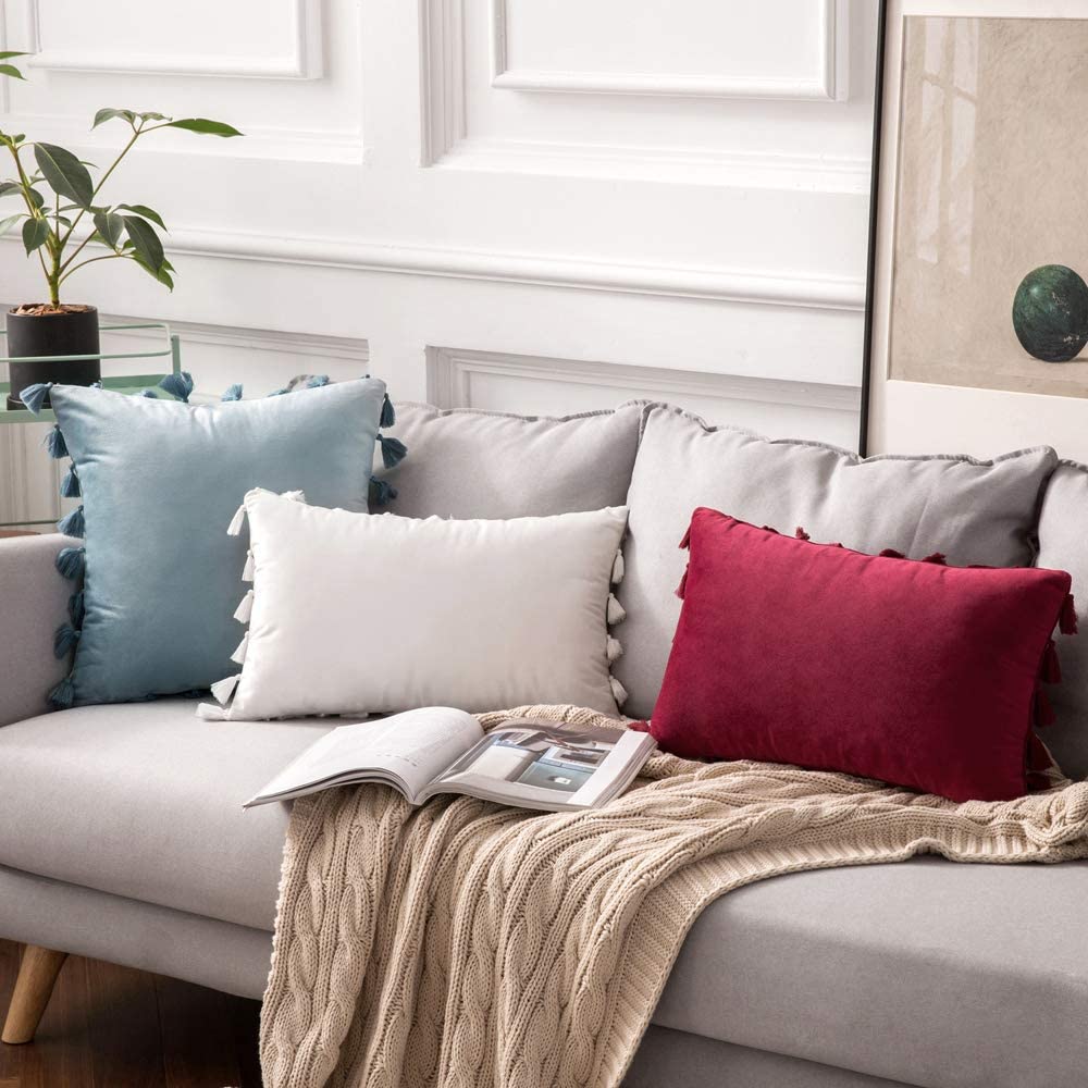 Pack of 2 Velvet Soft Solid Decorative Throw Pillows with Tassels Fringe Boho Accent Cushion for Couch Sofa Bed, Pure White