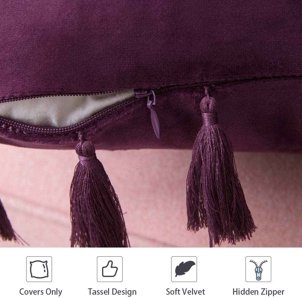 Pack of 2 Velvet Soft Solid Decorative Throw Pillows with Tassels Fringe Boho Accent Cushion for Couch Sofa Bed, Purple