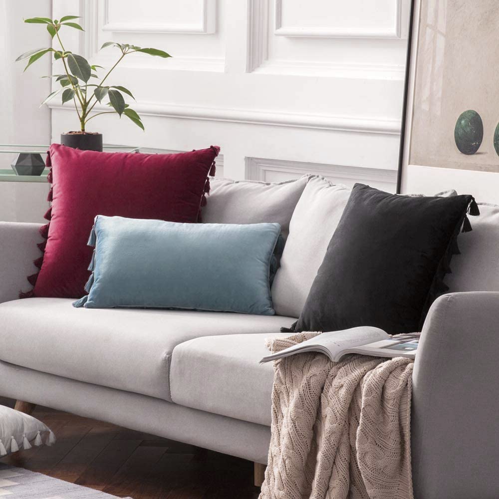 Pack of 2 Velvet Soft Solid Decorative Throw Pillows with Tassels Fringe Boho Accent Cushion for Couch Sofa Bed, Burgundy