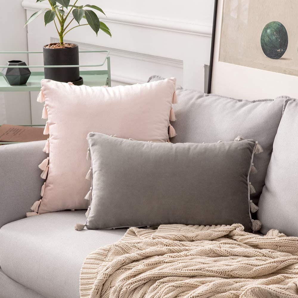 Pack of 2 Velvet Soft Solid Decorative Throw Pillows with Tassels Fringe Boho Accent Cushion for Couch Sofa Bed, Pink