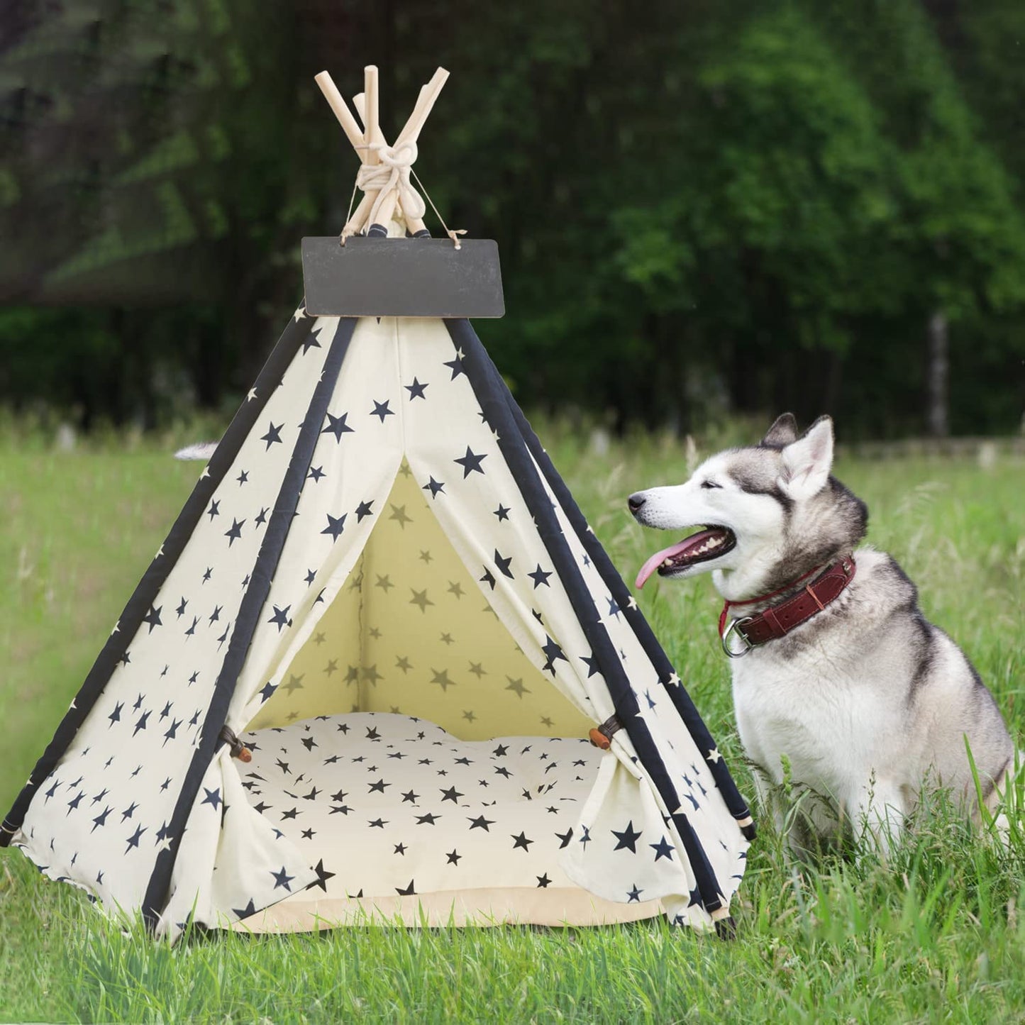 Pet Teepee with Cushion for Dogs and Cats Puppies House with Bed Pet Tent Bed Indoor Outdoor, Off White