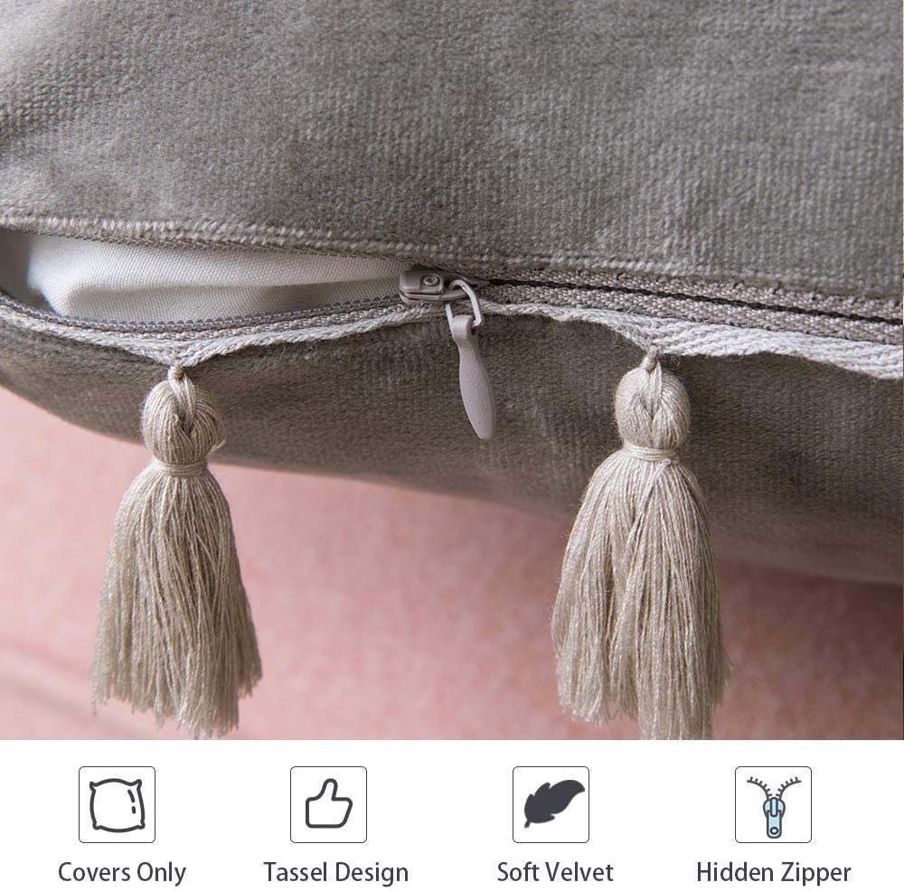 Pack of 2 Velvet Soft Solid Decorative Throw Pillows with Tassels Fringe Boho Accent Cushion for Couch Sofa Bed, Grey