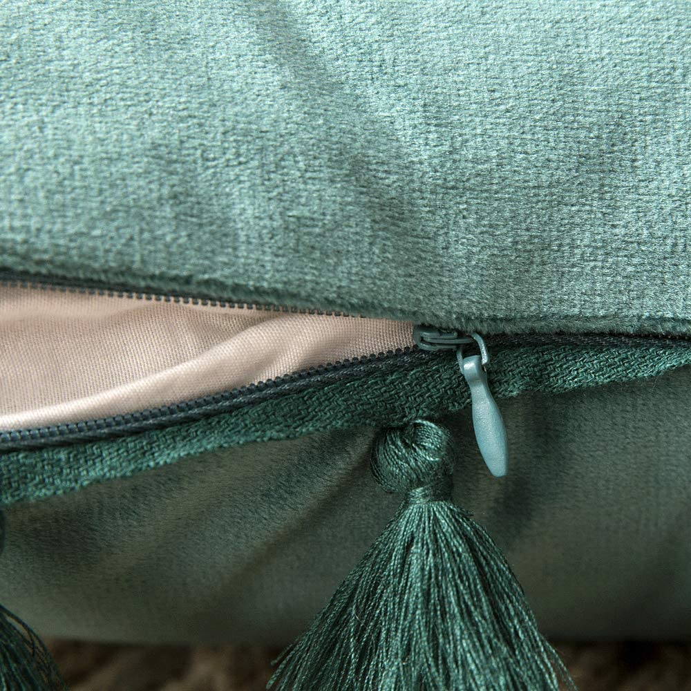 Pack of 2 Velvet Soft Solid Decorative Throw Pillows with Tassels Fringe Boho Accent Cushion Case for Couch Sofa Bed, Dark Green