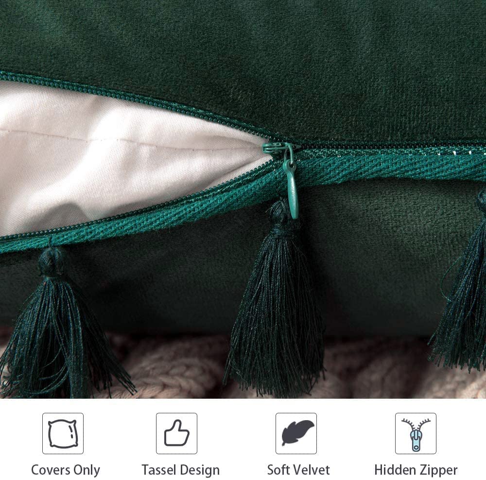 Pack of 2 Velvet Soft Solid Decorative Throw Pillows with Tassels Fringe Boho Accent Cushion for Couch Sofa Bed, Army Green
