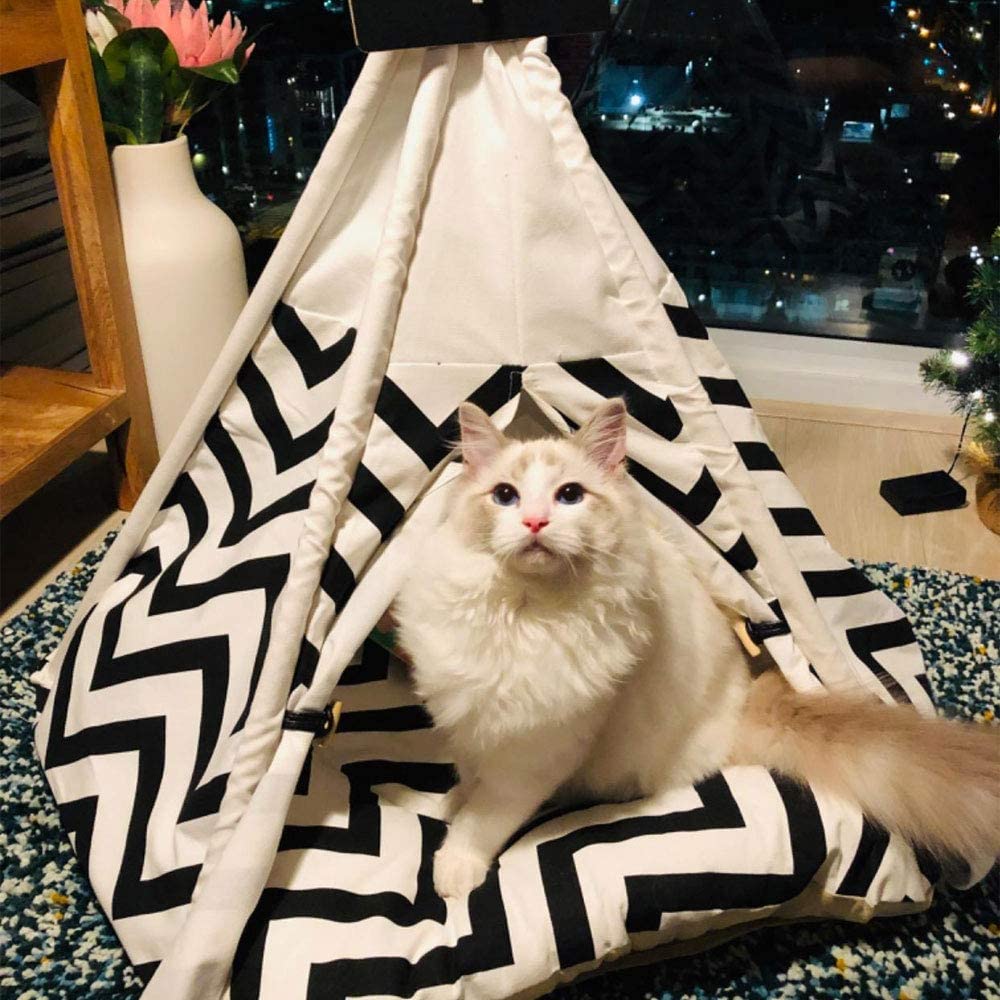 Pet Teepee with Cushion for Dogs and Cats Puppies House with Bed Pet Tent Bed Indoor Outdoor, Off White