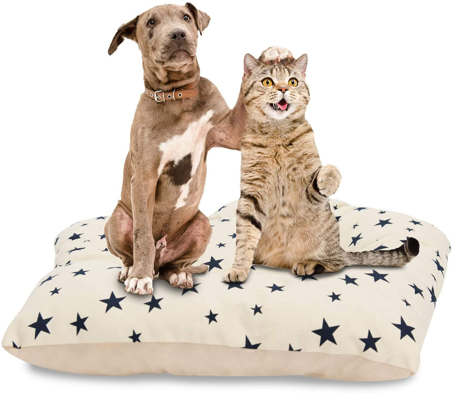 Pet Teepee with Cushion for Dogs and Cats Puppies House with Bed Pet Tent Bed Indoor Outdoor, Off White