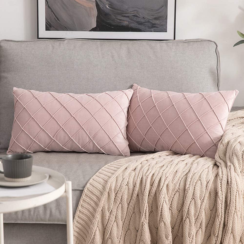 Velvet Throw Pillow Square Soft Couch Pillows Set of 2 (Inserts + Pillow Covers, Pink)