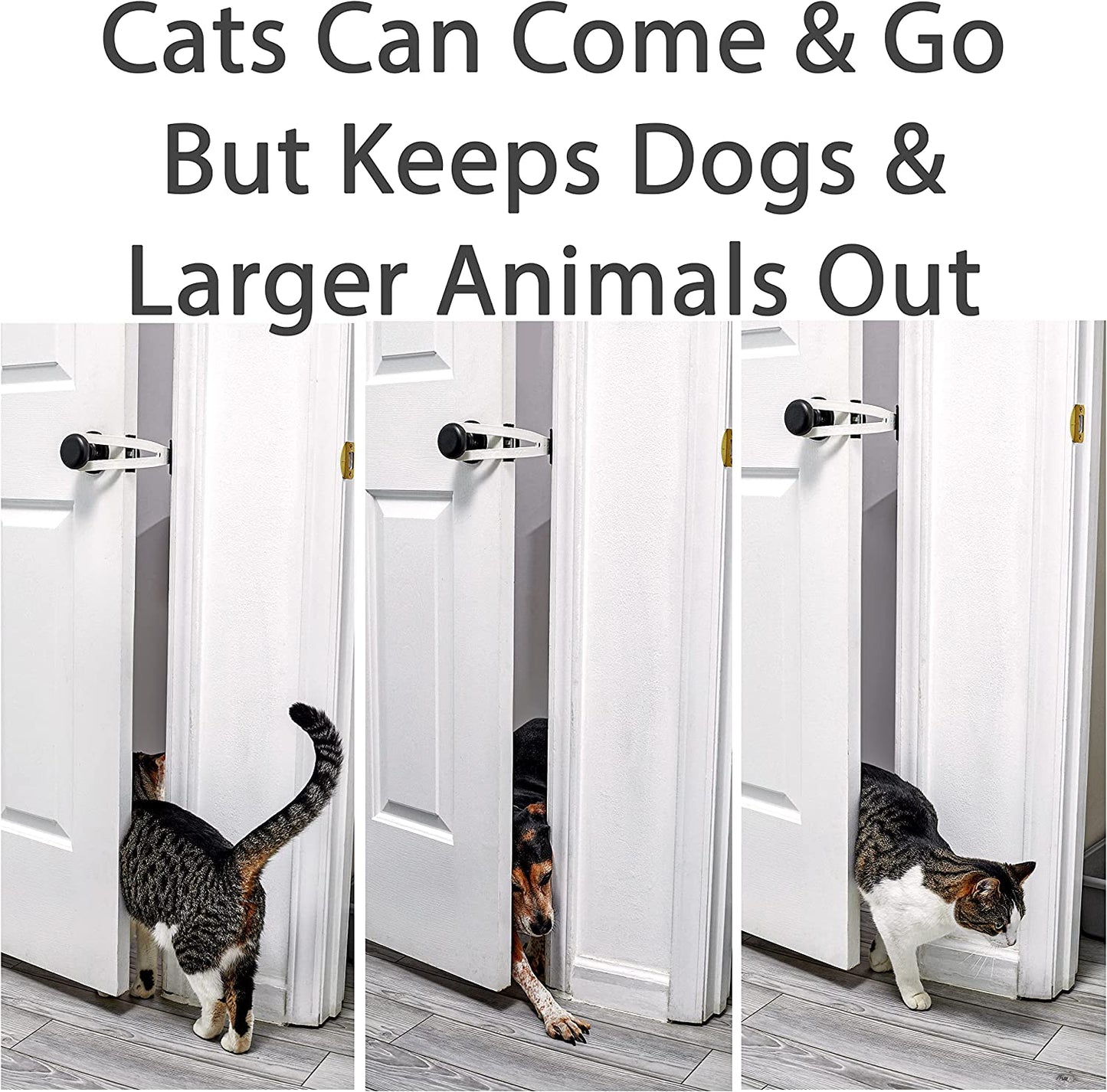 Cat Door Holder Latch - Extra Large Cat Door Alternative Installs Fast Flex Latch Strap Let's Cats in and Keeps Dogs Out of Litter & Food. Safe Baby Proof One Piece No Measuring Extra Easy